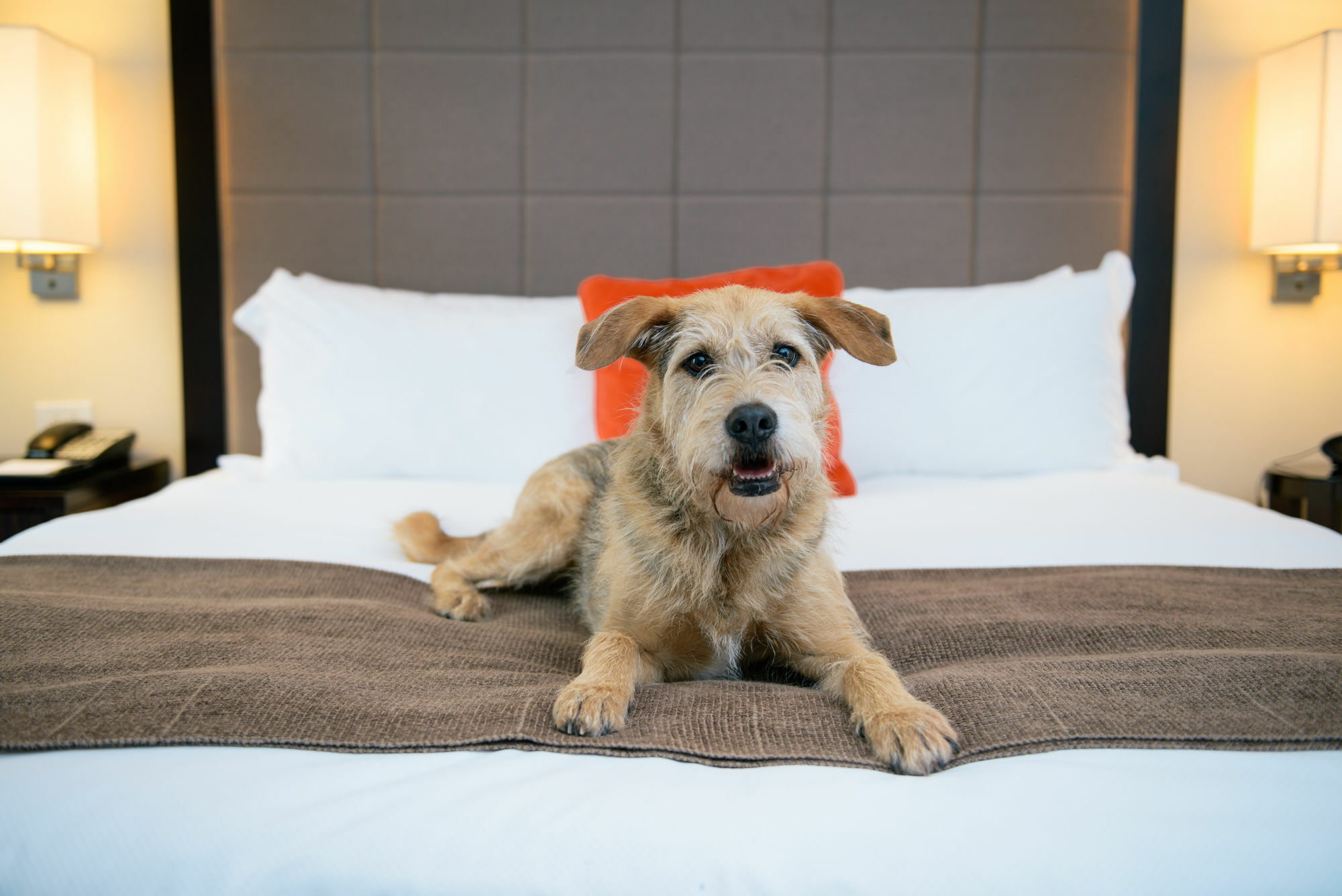 Candlewood Suites Charleston-Northwoods By Ihg North Charleston Luaran gambar